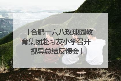 合肥一六八玫瑰园教育集团赴习友小学召开视导总结反馈会