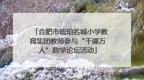 合肥市琥珀名城小学教育集团教师参与“千课万人”数学论坛活动