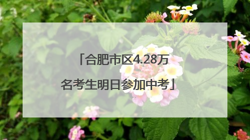 合肥市区4.28万名考生明日参加中考