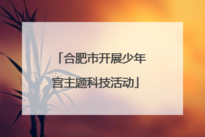 合肥市开展少年宫主题科技活动