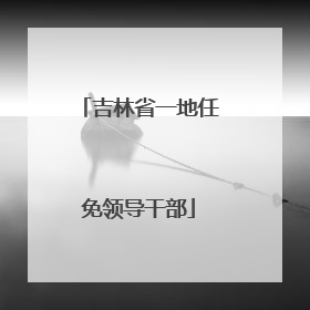 吉林省一地任免领导干部
