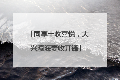 同享丰收喜悦，大兴瀛海麦收开镰
