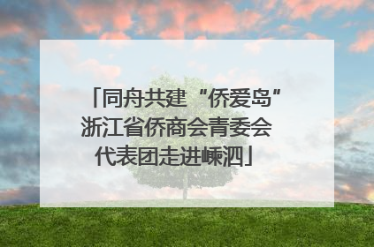同舟共建“侨爱岛” 浙江省侨商会青委会代表团走进嵊泗