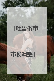 吐鲁番市市长调整