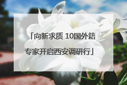 向新求质 10国外籍专家开启西安调研行