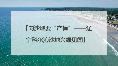 向沙地要“产值”——辽宁科尔沁沙地兴绿见闻