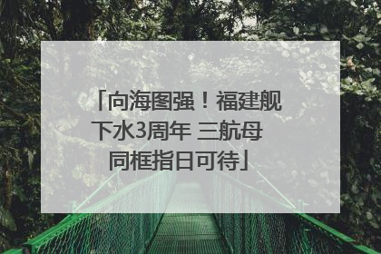 向海图强！福建舰下水3周年 三航母同框指日可待