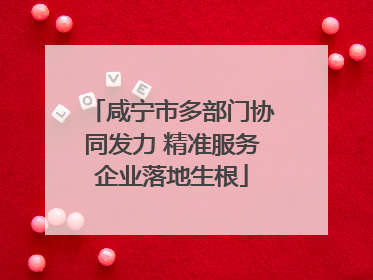 咸宁市多部门协同发力 精准服务企业落地生根