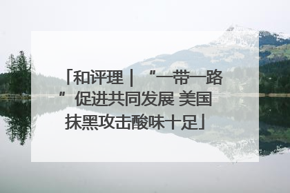 和评理｜“一带一路”促进共同发展 美国抹黑攻击酸味十足
