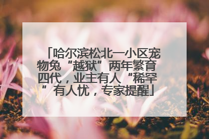 哈尔滨松北一小区宠物兔“越狱”两年繁育四代，业主有人“稀罕”有人忧，专家提醒