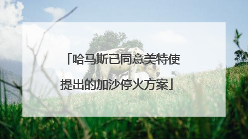 哈马斯已同意美特使提出的加沙停火方案