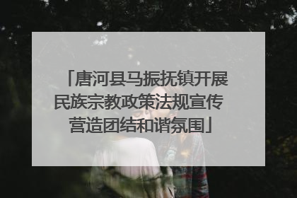 唐河县马振抚镇开展民族宗教政策法规宣传 营造团结和谐氛围