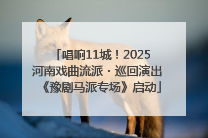 唱响11城！2025河南戏曲流派・巡回演出《豫剧马派专场》启动