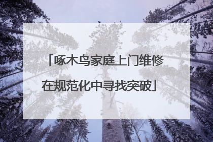 啄木鸟家庭上门维修在规范化中寻找突破
