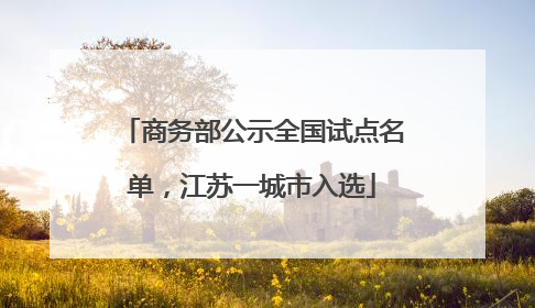 商务部公示全国试点名单，江苏一城市入选