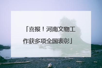 喜报！河南文物工作获多项全国表彰