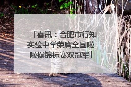 喜讯：合肥市行知实验中学荣膺全国啦啦操锦标赛双冠军