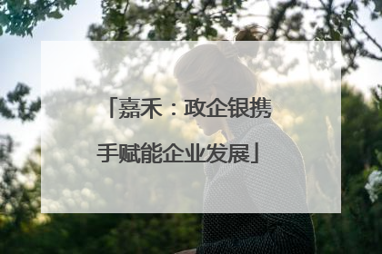 嘉禾：政企银携手赋能企业发展