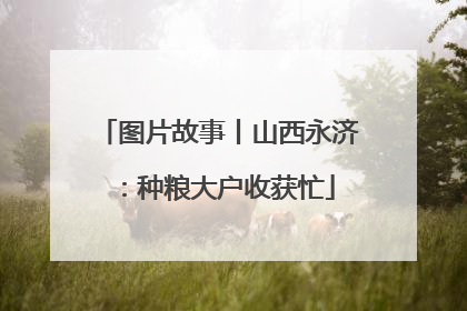 图片故事丨山西永济：种粮大户收获忙