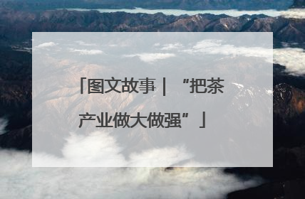 图文故事｜“把茶产业做大做强”