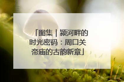 图集｜颍河畔的时光密码：周口关帝庙的古韵新章