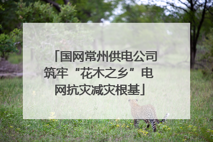 国网常州供电公司筑牢“花木之乡”电网抗灾减灾根基
