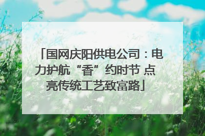 国网庆阳供电公司：电力护航“香”约时节 点亮传统工艺致富路