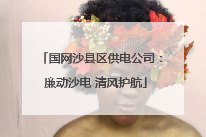 国网沙县区供电公司：廉动沙电 清风护航