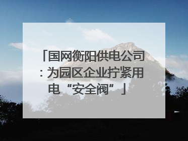 国网衡阳供电公司：为园区企业拧紧用电“安全阀”