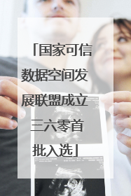 国家可信数据空间发展联盟成立 三六零首批入选