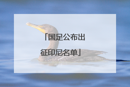 国足公布出征印尼名单