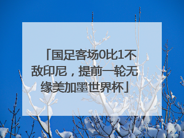 国足客场0比1不敌印尼，提前一轮无缘美加墨世界杯