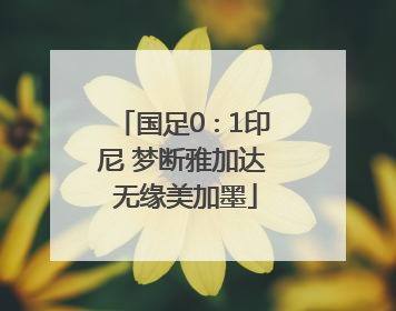 国足0∶1印尼 梦断雅加达 无缘美加墨