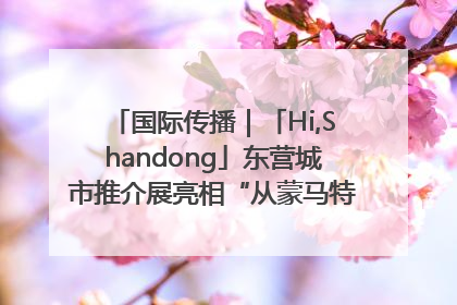 国际传播｜「Hi,Shandong」东营城市推介展亮相“从蒙马特到加里波第”文化节
