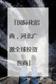 国际化招商，河北广邀全球投资客商