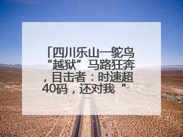 四川乐山一鸵鸟“越狱”马路狂奔，目击者：时速超40码，还对我“笑”了下
