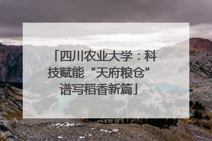四川农业大学：科技赋能“天府粮仓”谱写稻香新篇
