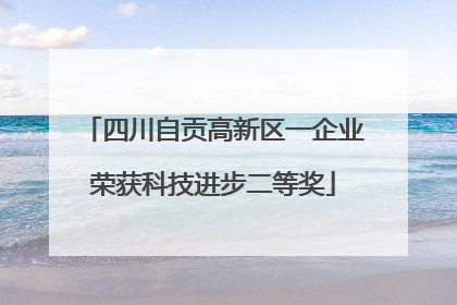四川自贡高新区一企业荣获科技进步二等奖