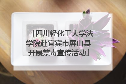 四川轻化工大学法学院赴宜宾市屏山县开展禁毒宣传活动