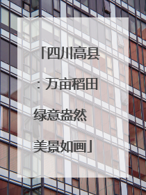 四川高县：万亩稻田绿意盎然 美景如画