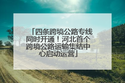 四条跨境公路专线同时开通！河北首个跨境公路运输集结中心启动运营