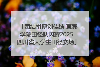 团结拼搏创佳绩 宜宾学院田径队闪耀2025四川省大学生田径赛场