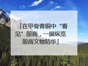 在甲骨青铜中“看见”殷商，一展纵览殷商文物精华