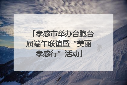 孝感市举办台胞台属端午联谊暨“美丽孝感行”活动