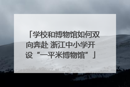 学校和博物馆如何双向奔赴 浙江中小学开设“一平米博物馆”