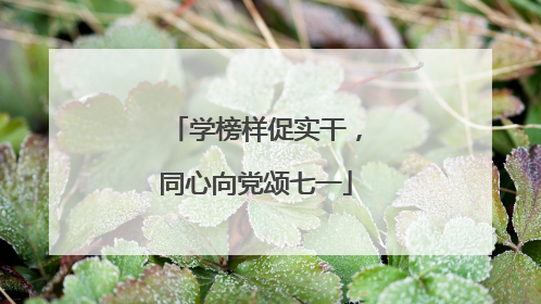 学榜样促实干，同心向党颂七一