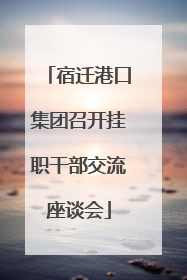宿迁港口集团召开挂职干部交流座谈会