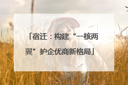 宿迁：构建“一核两翼”护企优商新格局