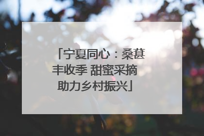 宁夏同心：桑葚丰收季 甜蜜采摘助力乡村振兴