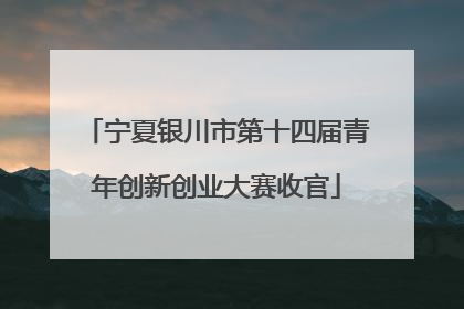 宁夏银川市第十四届青年创新创业大赛收官
